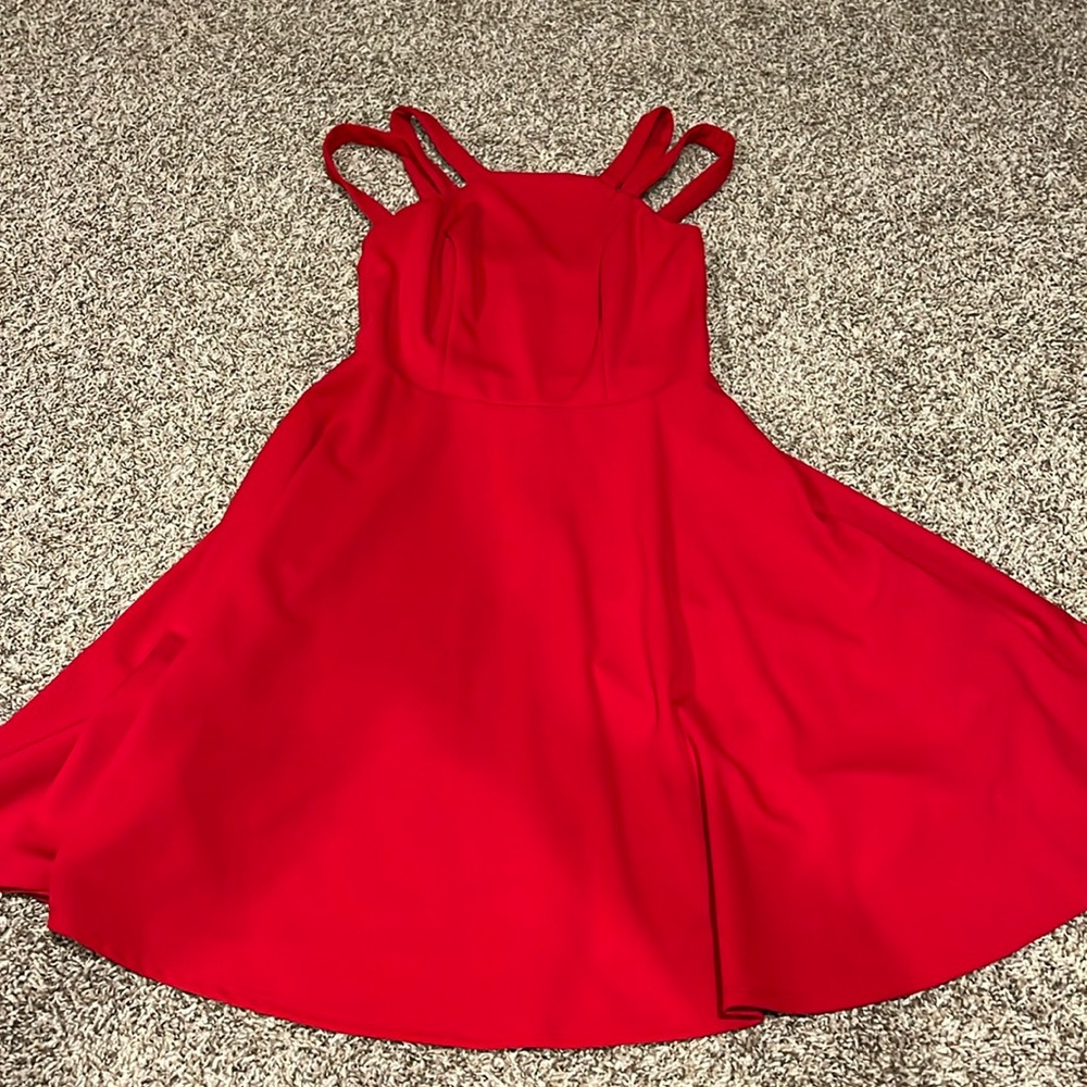 Red skater dress. Perfect for weddings, etc.